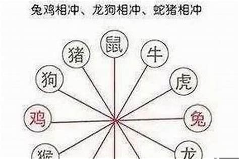 兔龍相害|最全12生肖三合、六合、相衝、相害詳細講。